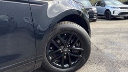 2024 (73) LAND ROVER RANGE ROVER EVOQUE 2.0 P200 Dynamic SE 5dr Auto 5177348