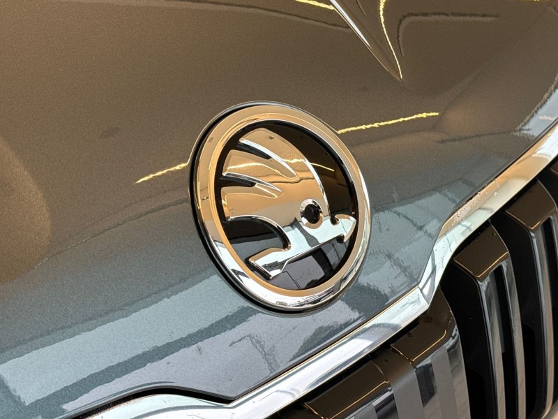 2021 (21) SKODA KAROQ 1.5 TSI SE L 5dr DSG 3523841