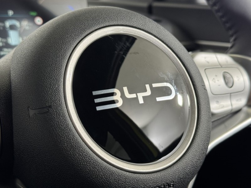  BYD DOLPHIN SURF 115kW Comfort 43kWh 5dr Auto 5531434