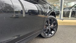 2021 (71) LAND ROVER DISCOVERY SPORT 1.5 P300e Urban Edition 5dr Auto 5143944