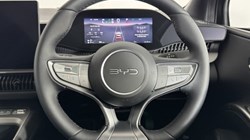 BYD DOLPHIN G 1.5 DM-i 212 Comfort 5dr Auto 5735324