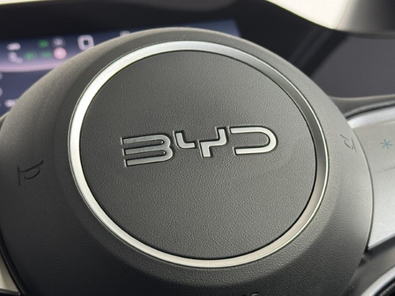  BYD DOLPHIN G 1.5 DM-i 212 Comfort 5dr Auto 5735327