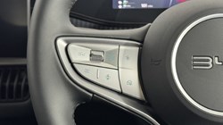 BYD DOLPHIN G 1.5 DM-i 212 Comfort 5dr Auto 5735325