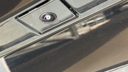 BYD COMMERCIAL SHARK 1.5T DMO Double Cab Pick Up Auto AWD 5973108