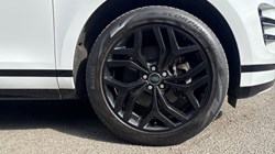2023 (23) LAND ROVER RANGE ROVER EVOQUE 2.0 D200 Evoque Edition 5dr Auto 5223789