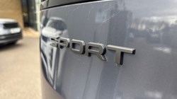 2023 (73) LAND ROVER RANGE ROVER SPORT 3.0 D300 Dynamic SE 5dr Auto 5235352