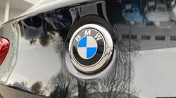2019 (19) BMW 1 SERIES 120i [2.0] M Sport Shadow Ed 3dr Step Auto 3095020