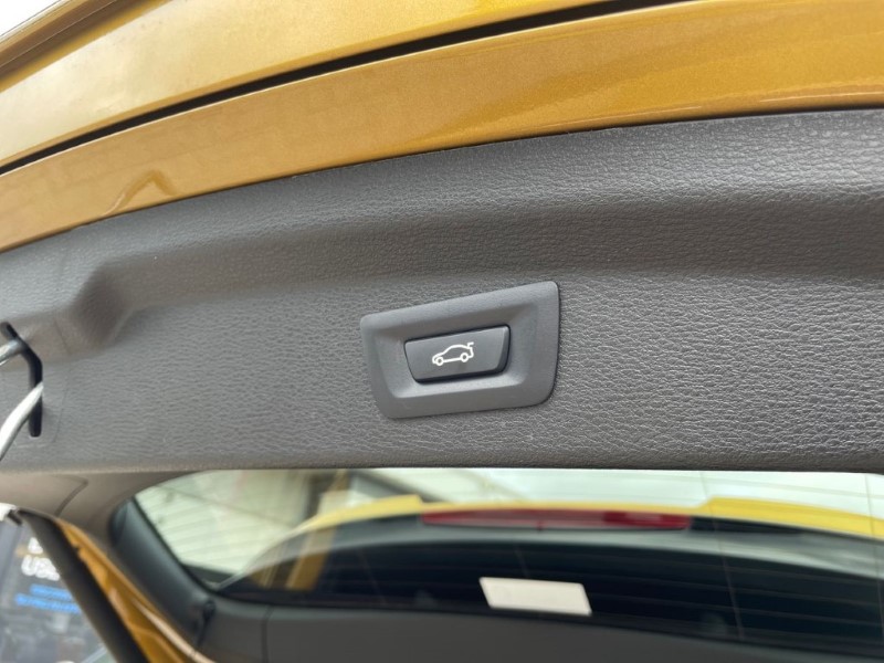 2020 (20) BMW X2 xDrive 20i M Sport X 5dr Step Auto 3405172