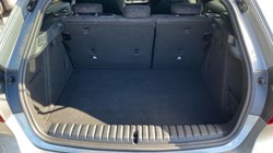 2023 (73) BMW 1 SERIES M135i xDrive 5dr Step Auto 3511349