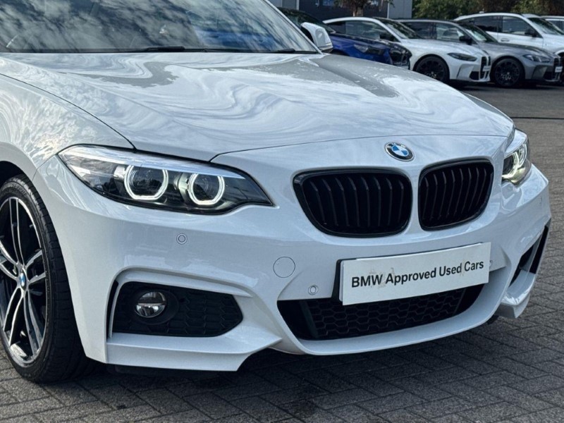 2019 (69) BMW 2 SERIES 230i M Sport 2dr [Nav] Step Auto 5747244
