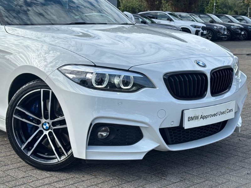 2019 (69) BMW 2 SERIES 230i M Sport 2dr [Nav] Step Auto 5747243