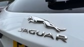 2019 (69) JAGUAR E-PACE 2.0d S 5dr 2WD 5285066