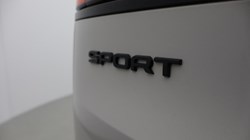2024 (73) LAND ROVER RANGE ROVER SPORT 3.0 D300 Dynamic SE 5dr Auto 4795181