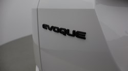 2025 (25) LAND ROVER RANGE ROVER EVOQUE 2.0 D200 Dynamic SE 5dr Auto 4826755