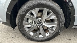 2024 (24) KIA SPORTAGE 1.6T GDi HEV GT-Line S 5dr Auto 3632893