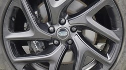 2024 (24) LAND ROVER RANGE ROVER SPORT 3.0 D300 Dynamic SE 5dr Auto 4931164