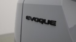 2024 (73) LAND ROVER RANGE ROVER EVOQUE 1.5 P300e Dynamic HSE 5dr Auto 5011922