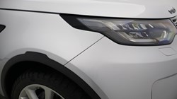 2019 (19) LAND ROVER DISCOVERY 3.0 SDV6 Anniversary Edition 5dr Auto 5105815