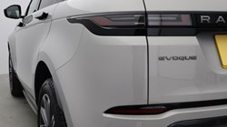 2024 (24) LAND ROVER RANGE ROVER EVOQUE 2.0 D200 Dynamic SE 5dr Auto 5316731