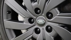 2024 (24) LAND ROVER RANGE ROVER 3.0 D300 SE 4dr Auto 5522140