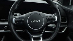 2025 (74) KIA SPORTAGE 1.6T GDi 207 HEV GT-Line S 5dr Auto 4517962