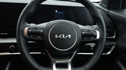 2025 (25) KIA SPORTAGE 1.6T GDi 157 48V ISG GT-Line 5dr DCT 4611040