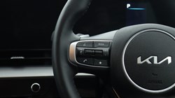 2025 (25) KIA SPORTAGE 1.6T GDi 157 48V ISG GT-Line 5dr DCT 4611041