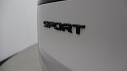 2024 (24) LAND ROVER RANGE ROVER SPORT 3.0 D300 Dynamic SE 5dr Auto 5886020