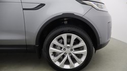 2023 (23) LAND ROVER COMMERCIAL DISCOVERY 3.0 D300 SE Commercial Auto 5965946