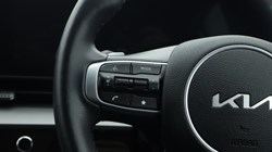 2025 (25) KIA SPORTAGE 1.6T GDi 157 48V ISG GT-Line 5dr DCT 4713401