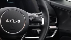 2025 (75) KIA SPORTAGE 1.6T GDi 207 HEV GT-Line 5dr Auto 5146804