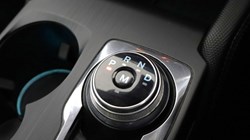 2019 (19) FORD FOCUS 1.5 EcoBlue 120 Active X Auto 5dr 5748880