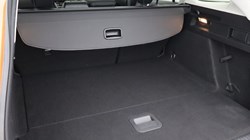 2019 (19) FORD FOCUS 1.5 EcoBlue 120 Active X Auto 5dr 5748885