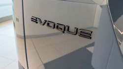 2025 (75) LAND ROVER RANGE ROVER EVOQUE 2.0 D200 Dynamic SE 5dr Auto 5128146