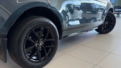 2025 (75) LAND ROVER RANGE ROVER EVOQUE 2.0 D200 Dynamic SE 5dr Auto 5128148