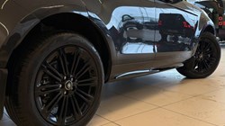 2025 (75) LAND ROVER RANGE ROVER EVOQUE 2.0 D200 Dynamic SE 5dr Auto 5146346