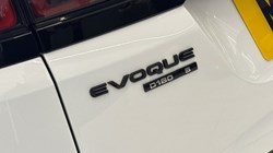2019 (69) LAND ROVER RANGE ROVER EVOQUE 2.0 D180 R-Dynamic S 5dr Auto 4677919