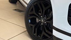 2019 (69) LAND ROVER RANGE ROVER EVOQUE 2.0 D180 R-Dynamic S 5dr Auto 4677917