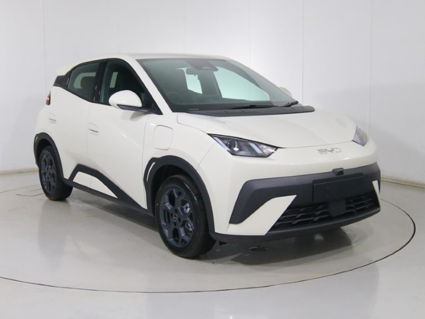 BYD DOLPHIN SURF