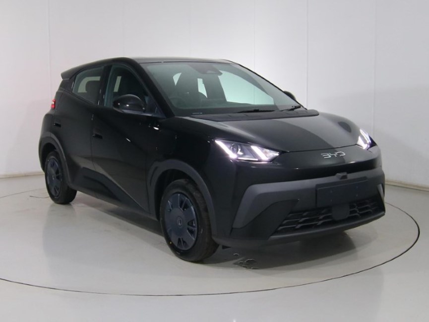 BYD DOLPHIN SURF