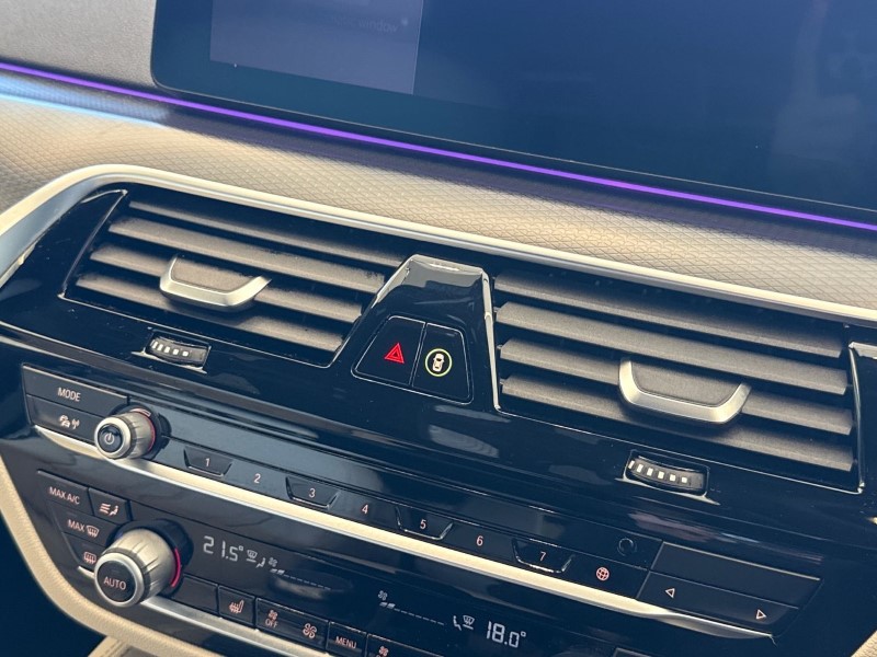 2020 (70) BMW 5 SERIES 520i MHT M Sport 5dr Step Auto 4762543