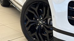 2019 (69) LAND ROVER RANGE ROVER EVOQUE 2.0 D180 R-Dynamic SE 5dr Auto 4812609