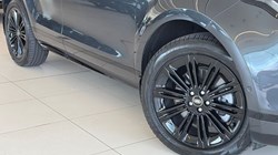 2025 (75) LAND ROVER RANGE ROVER EVOQUE 2.0 D200 Dynamic SE 5dr Auto 5523759