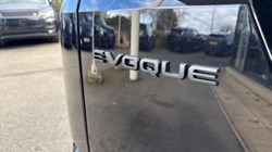 2024 (73) LAND ROVER RANGE ROVER EVOQUE 2.0 P200 Dynamic SE 5dr Auto 5417016