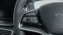 BYD SEAL U 1.5 DM-i Boost 5dr Auto 5021926