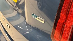 2022 (22) KIA SORENTO 1.6 T-GDi HEV 4 5dr Auto 4852458