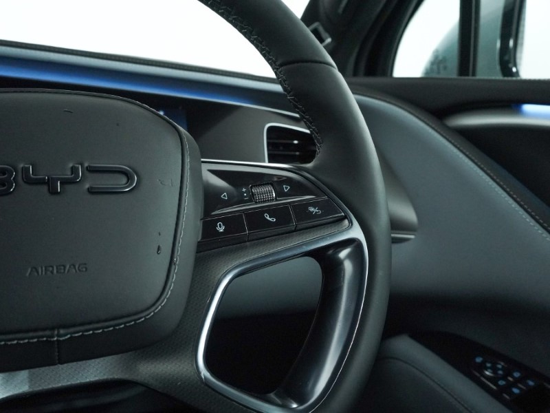  BYD SEALION 7 390kW Excellence AWD 91kWh 5dr Auto 4936436