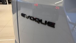 2024 (24) LAND ROVER RANGE ROVER EVOQUE 1.5 P270e Dynamic HSE 5dr Auto 4877110