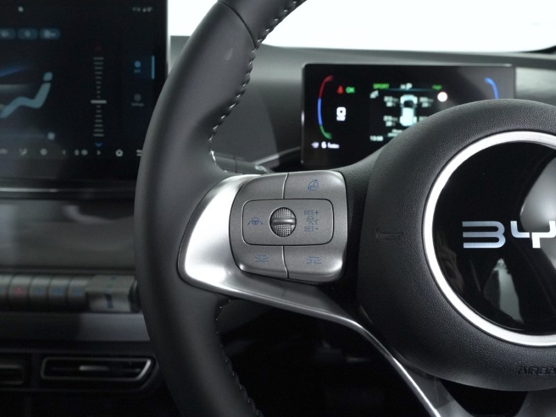  BYD DOLPHIN SURF 65kW Boost 43kWh 5dr Auto 5067712