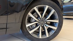 2023 (72) LAND ROVER COMMERCIAL DISCOVERY 3.0 D300 R-Dynamic SE Commercial Auto 4897942